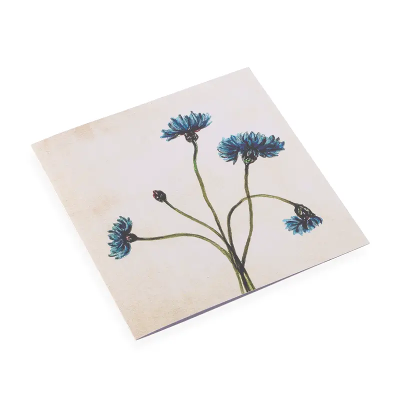 Bookbinders Design - Card - Cornflower 1