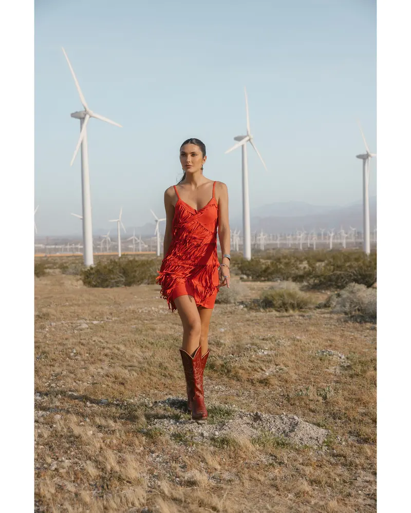 Brixworth Faux Suede Fringe Mini Dress 1