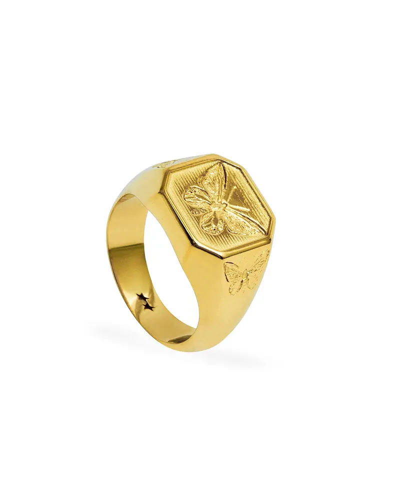 Butterfly Effect Ring 1