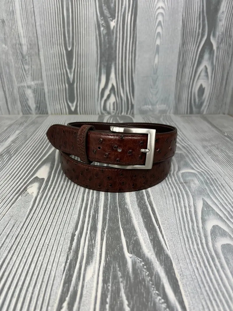 Chacon 1 1/2" Kango Cc Full Quill Ostrich Belt 1