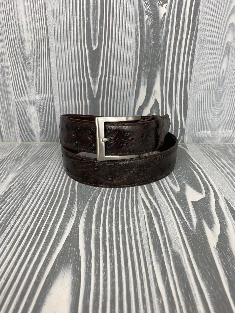 Chacon 1 1/2" Nicotine Full Quill Ostrich Belt 1