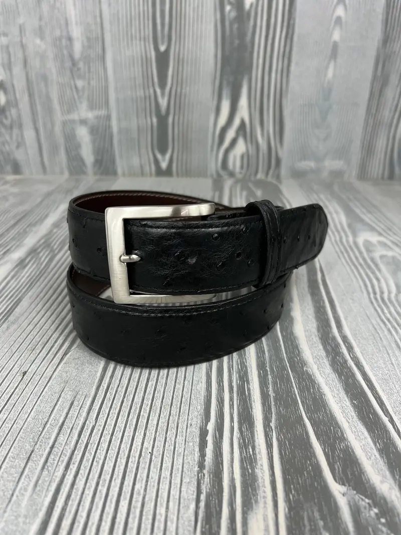 Chacon Black Full Quill Ostrich 1 1/2" Belt 1