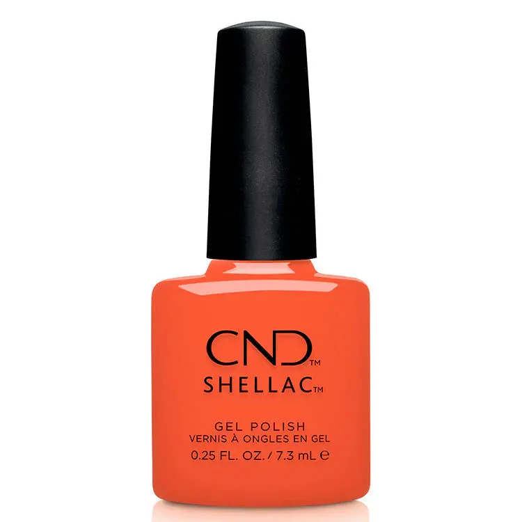 Cnd Shellac #113 Ig-Night-Ed 1