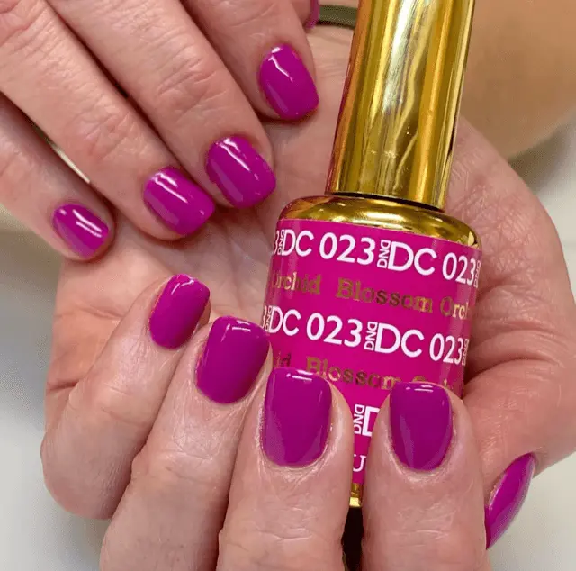 Dc Duo 023 Blossom Orchid 1