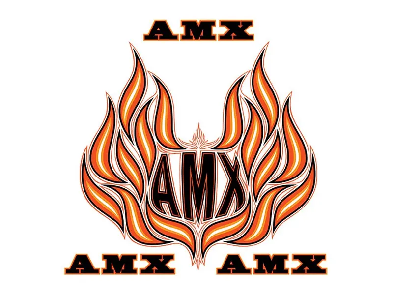Decal And Stripe Kit, Factory Authorized Reproduction, Hood Decals & Names, 1979-80 Amc Spirit Amx (2 Color, 2 Color Choices) - Drop Ships In Approx. 1-3 Weeks 1