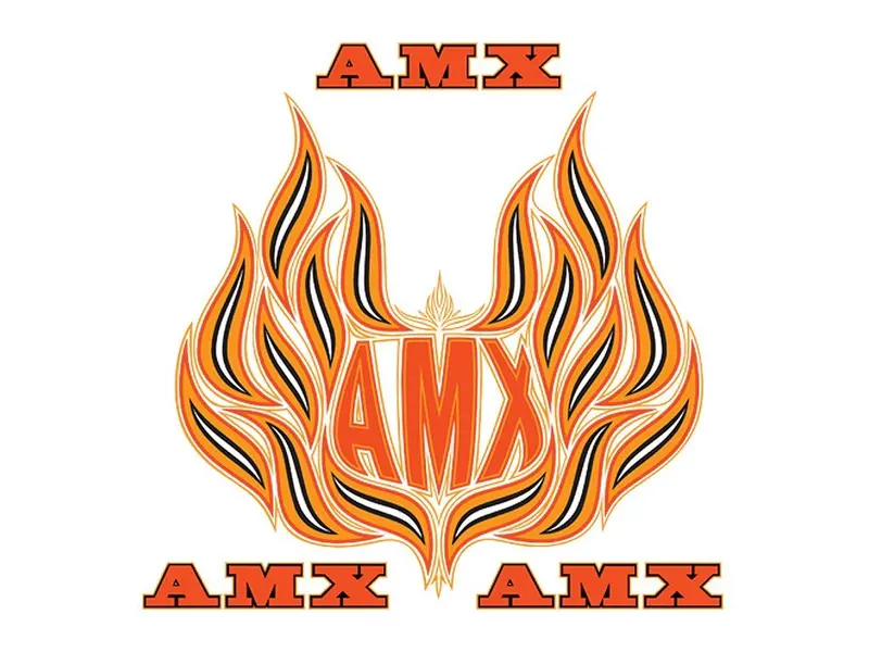 Decal And Stripe Kit, Factory Authorized Reproduction, Hood Decals & Names, 1979-80 Amc Spirit Amx (2 Color, 2 Color Choices) - Drop Ships In Approx. 1-3 Weeks 2
