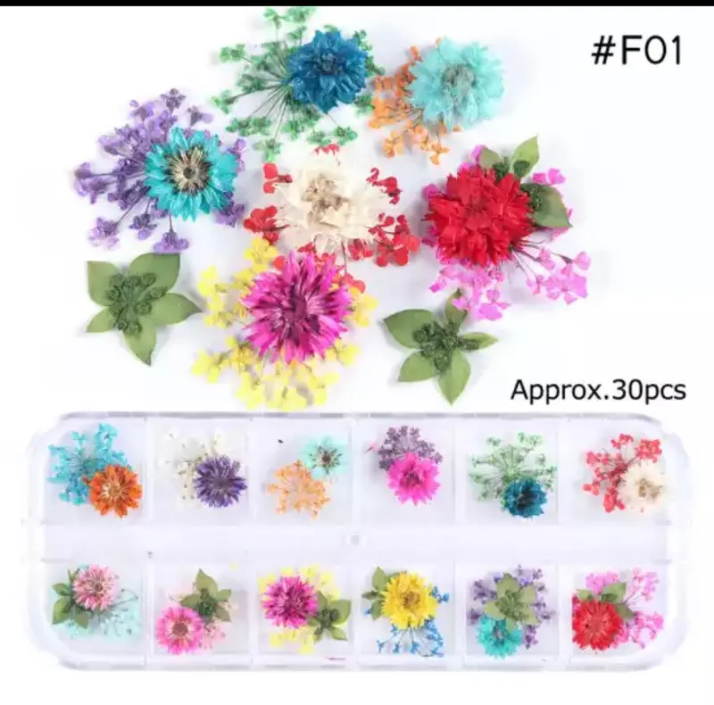 Dry Flower #F01 1