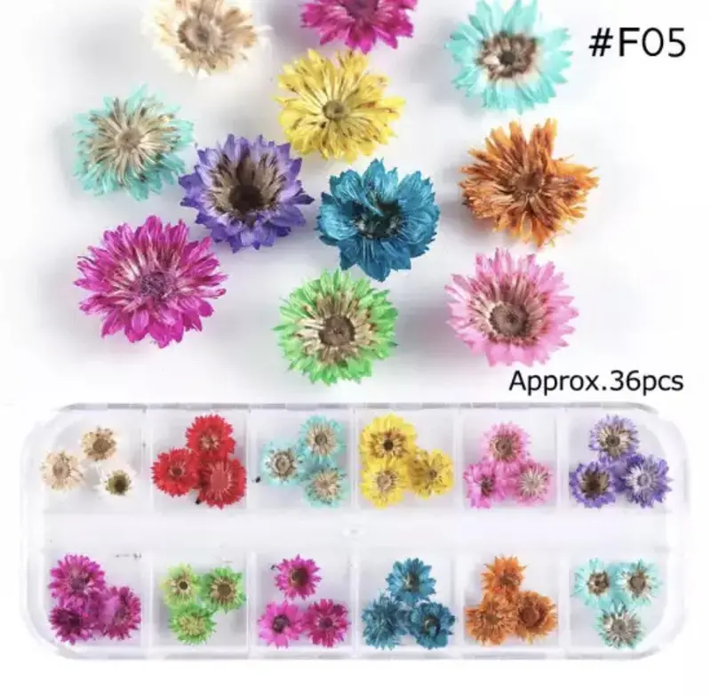 Dry Flower #F05 1