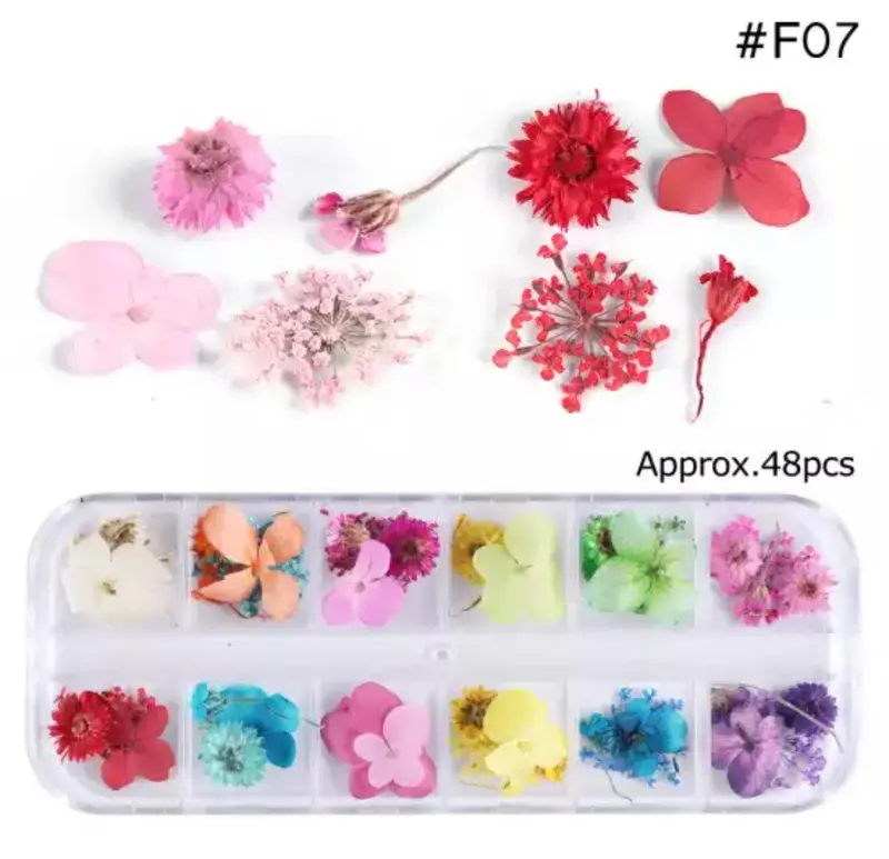 Dry Flower #F07 1