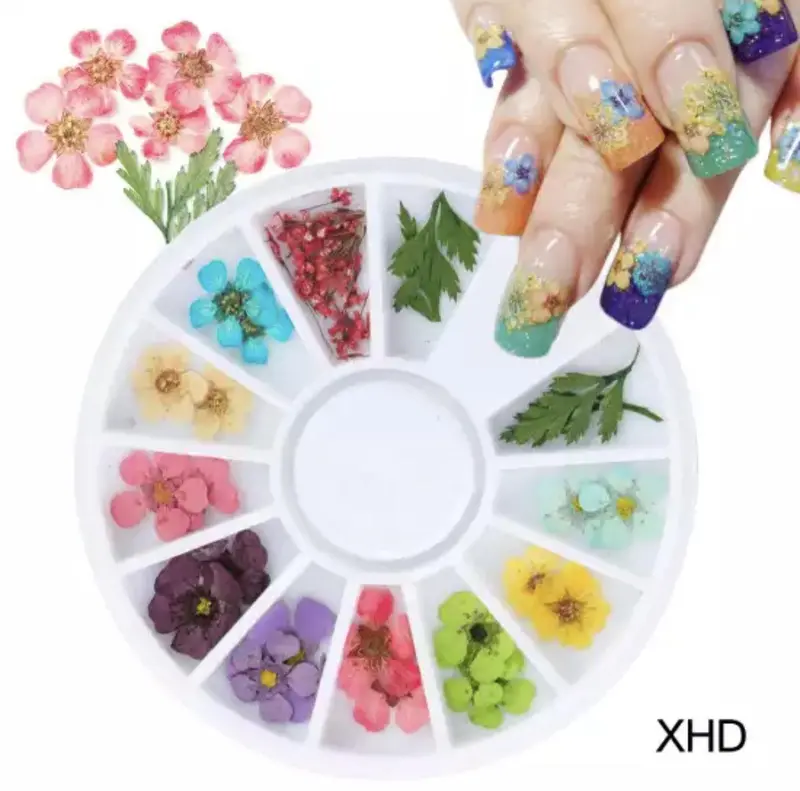 Dry Flower #Xhd 1