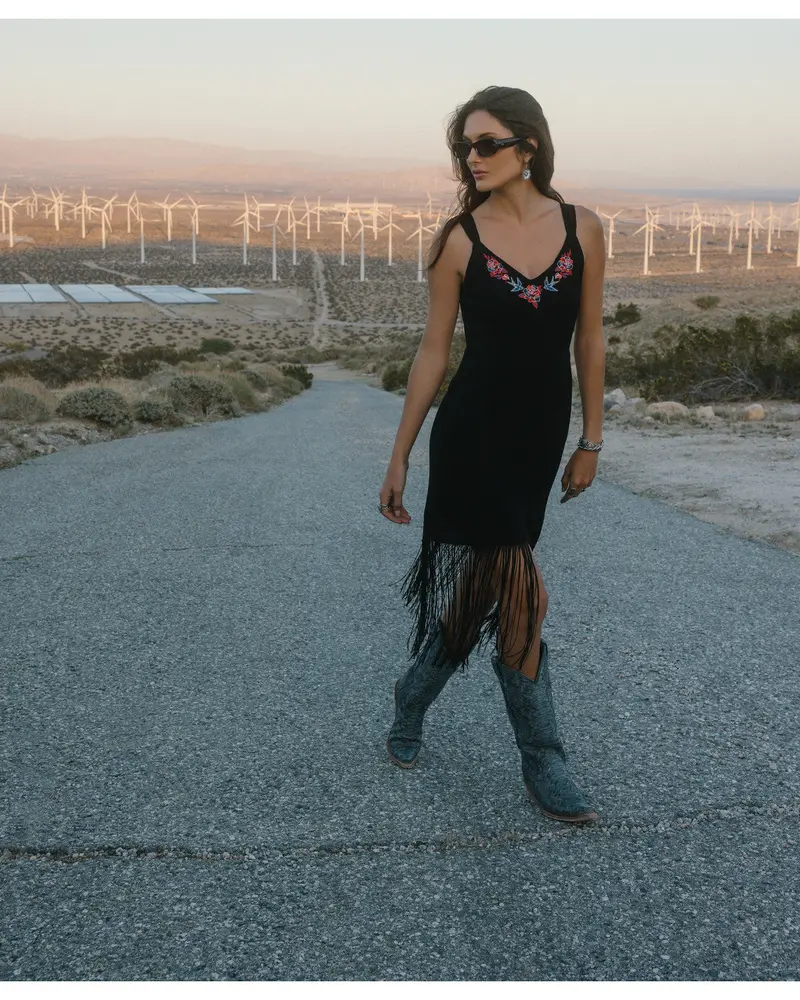 Embroidered Fringe Dress 1