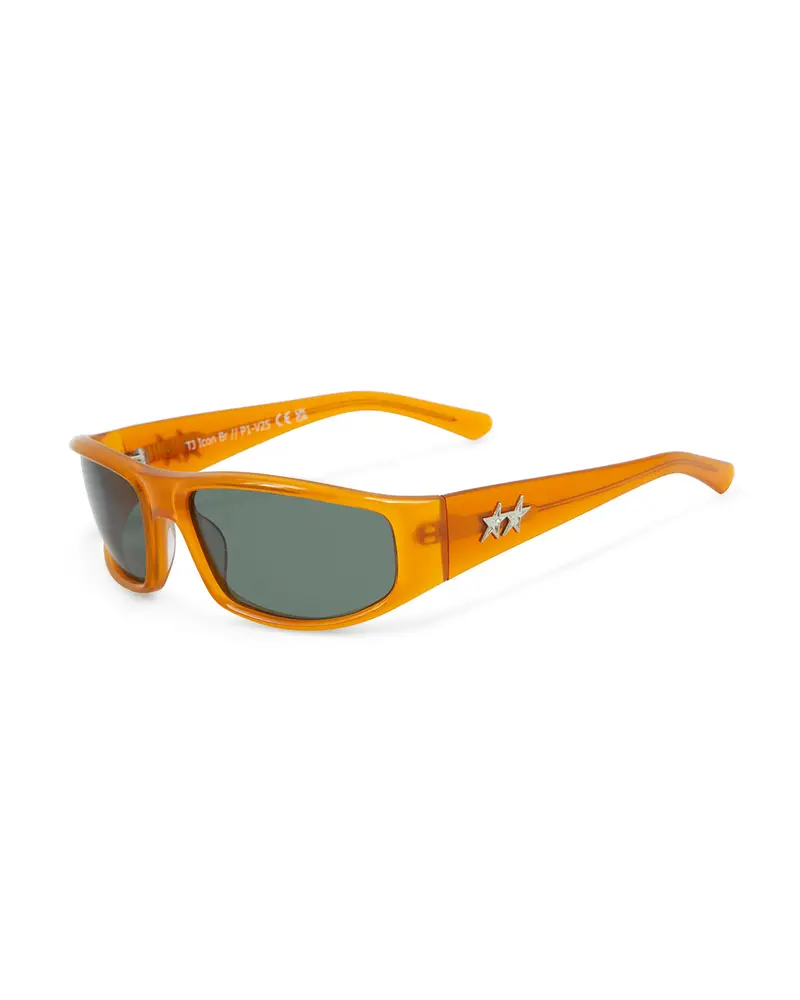 Icon Sunglasses 1