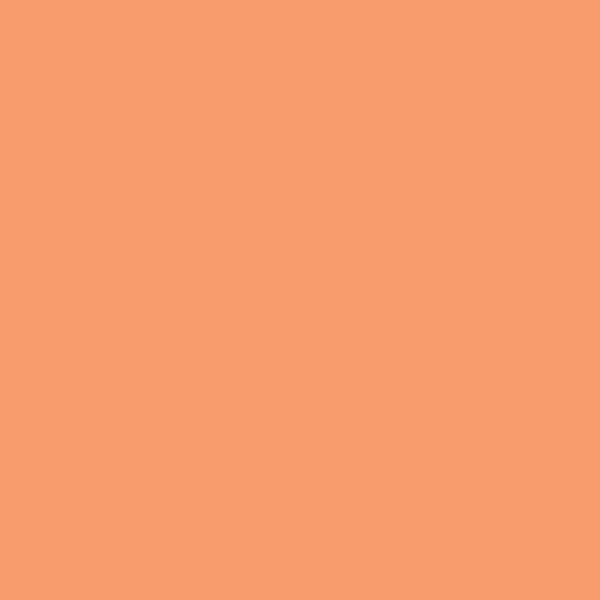 Marvy Uchida - Brush Pen - Le Plume Ii - Butterscotch #83 1