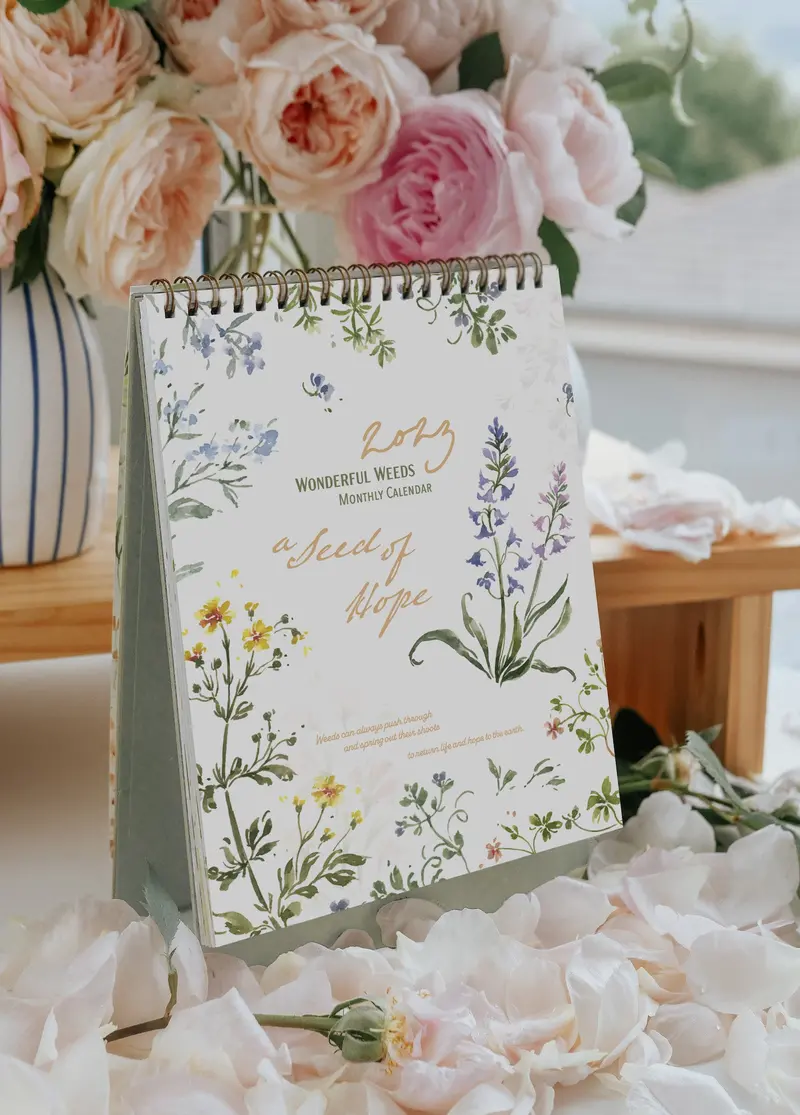 Meow Illustration - 2023 Diary - Weekly Planner - A Seed Of Hope 1