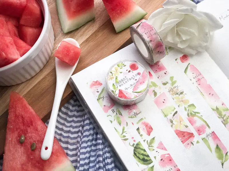 Meow Illustration - Washi Tape - Summer Watermelon 1