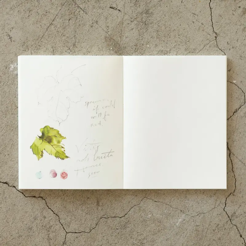 Midori - Notebook - Md Paper - F0 - Cotton 2