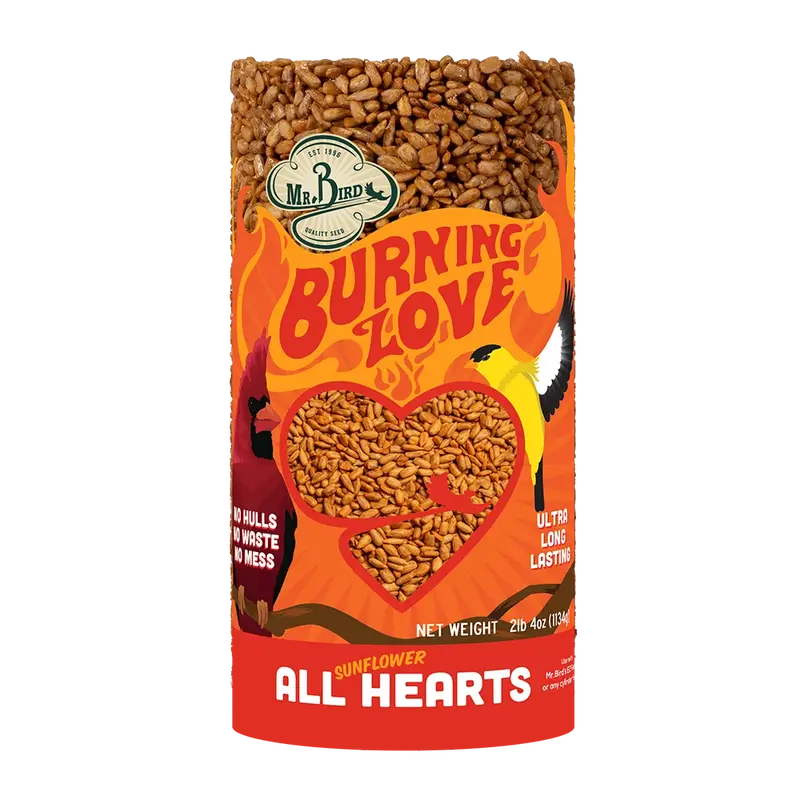 Mr. Bird Burning Love Small Cylinder 1