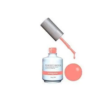 Perfect Match Gel Duo Pms 171 Blushing Bloom 1