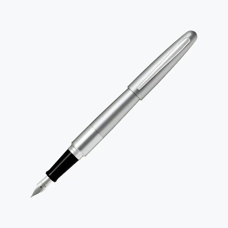 Pilot - Fountain Pen - Cocoon - Silver 1