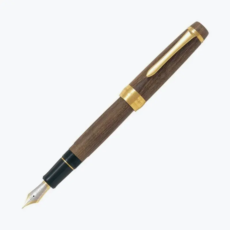 Pilot - Fountain Pen - Custom Enjyu 1
