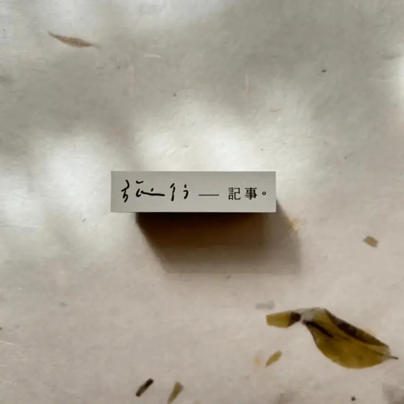 Pion - Stamp - Travel 1
