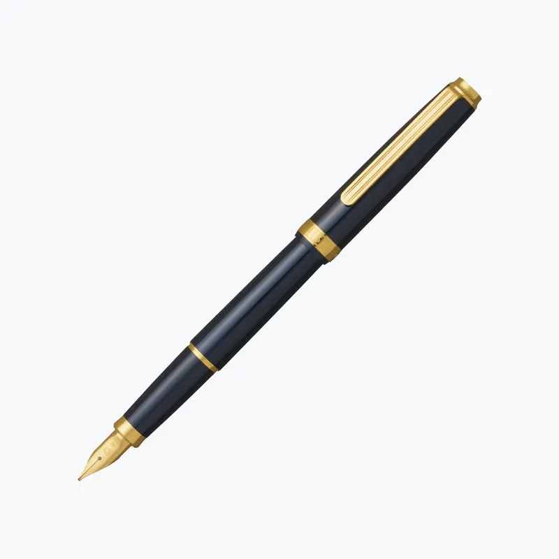 Platinum - Fountain Pen - Biso - Nebula Black 1