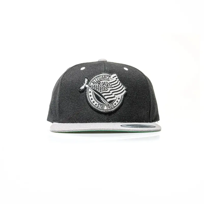 Pledge Snapback 1