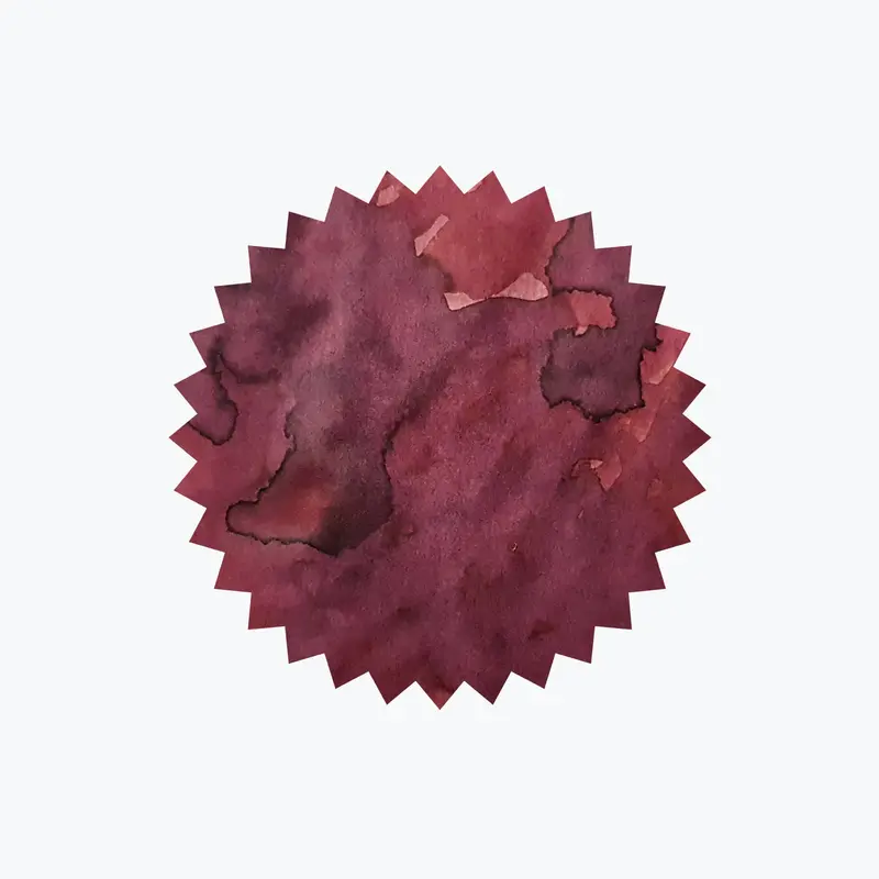 Robert Oster - Fountain Pen Ink - Signature - Australian Syrah 2