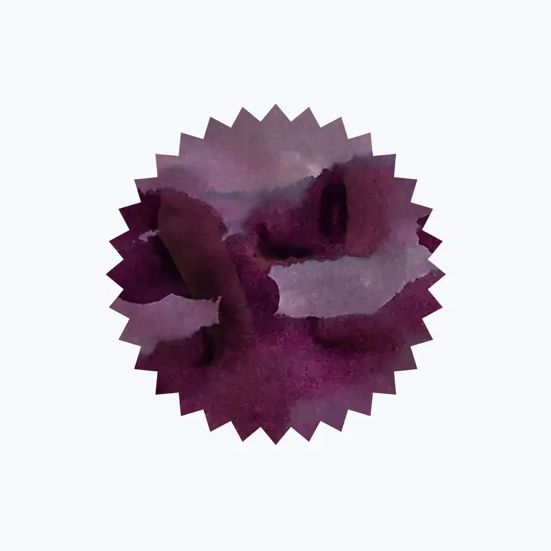 Robert Oster - Fountain Pen Ink - Signature - Barossa Grape 2