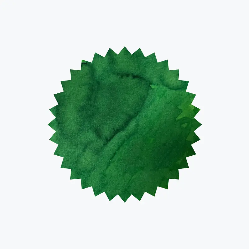 Robert Oster - Fountain Pen Ink - Signature - Ten Dollar Green 2