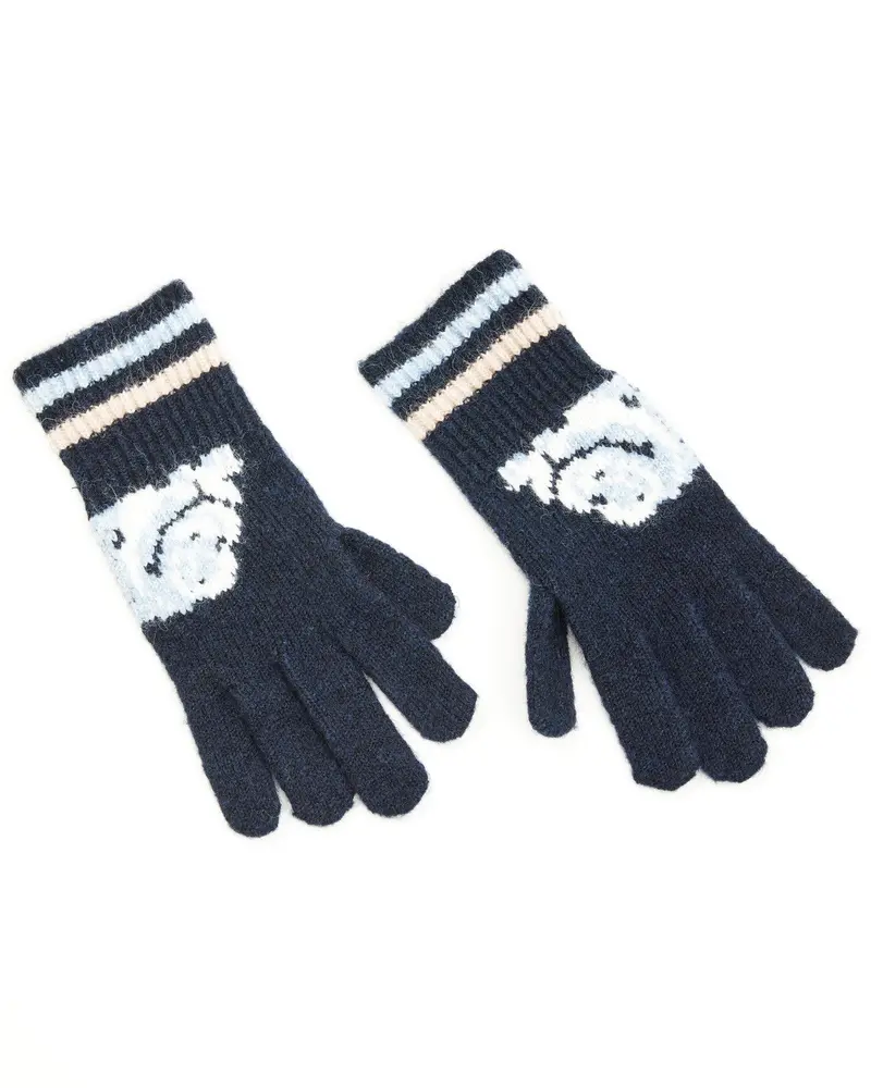 Skyvalley Southwestern Print Gloves 1