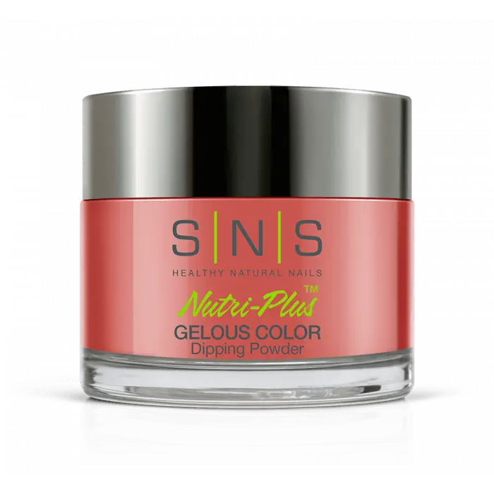 Sns Dip Powder Ac08 Baroque 1