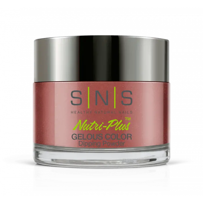 Sns Dip Powder An09 Brickenridge 1