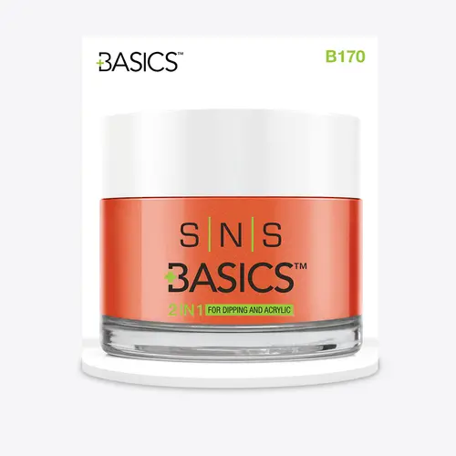 Sns Dip Powder Basic 1+1 B170 1