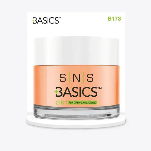 Sns Dip Powder Basic 1+1 B173 1