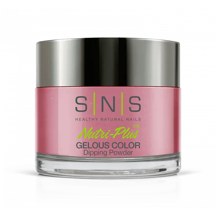 Sns Dip Powder Sc14 I Beg Your Pardon? 1