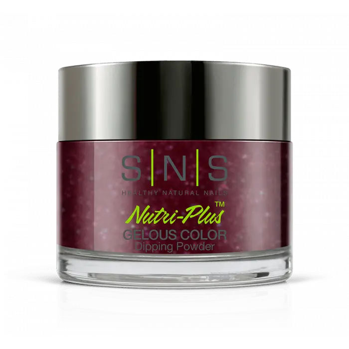 Sns Dip Powder Ww10 Nutcracker 1