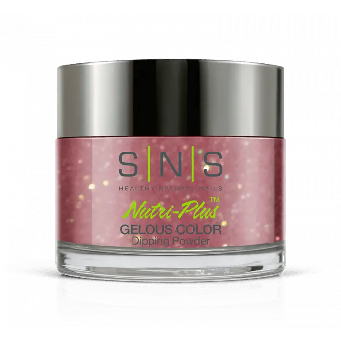 Sns Dip Powder Ww13 Secret Santa 1