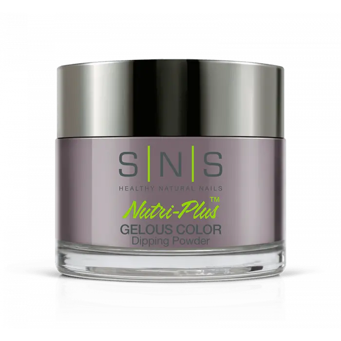 Sns Dip Powder Ww30 Plum Pudding 1