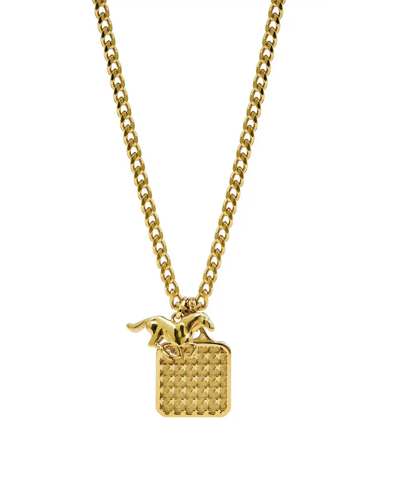 Starline Necklace 1