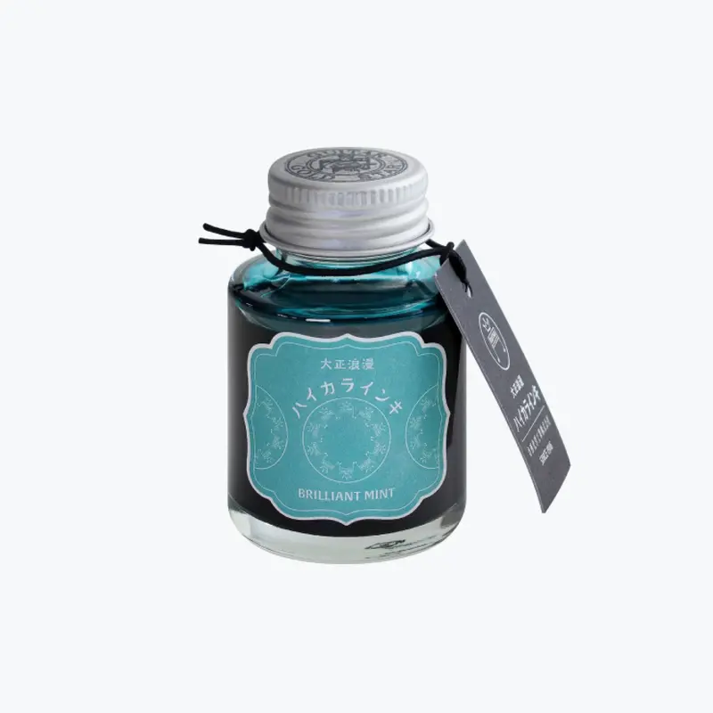 Teranishi - Fountain Pen Ink - Guitar Haikara - Brilliant Mint 1