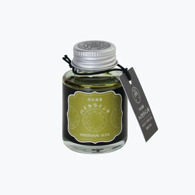 Teranishi - Fountain Pen Ink - Guitar Haikara - Emotional Olive 1