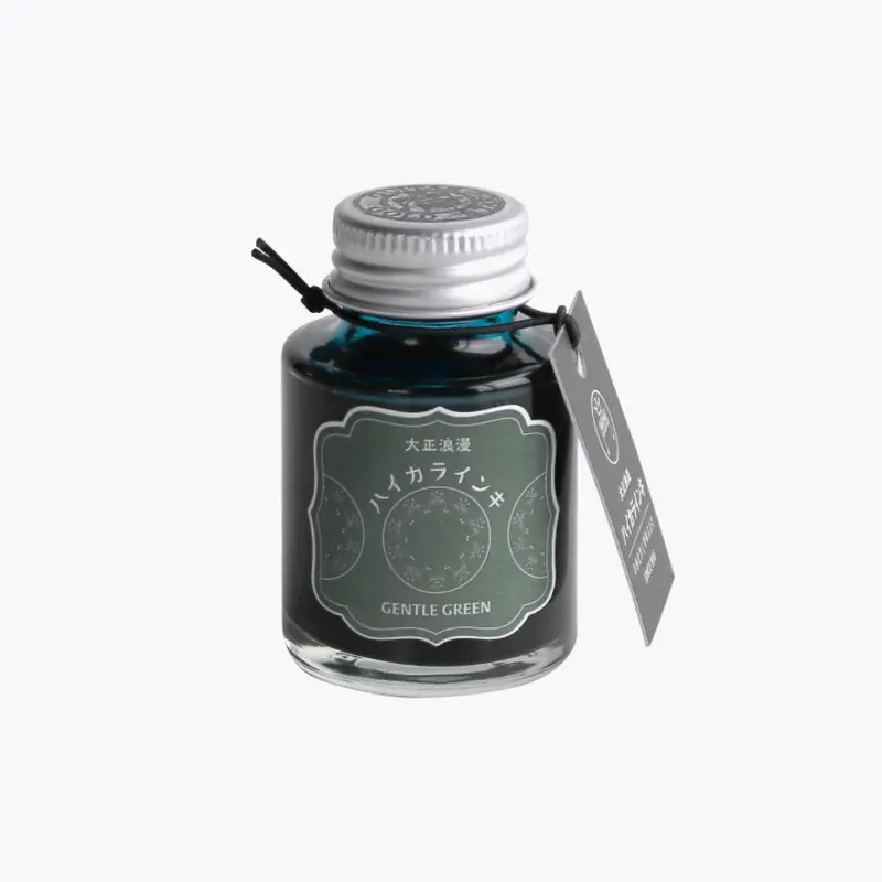 Teranishi - Fountain Pen Ink - Guitar Haikara - Gentle Green 1