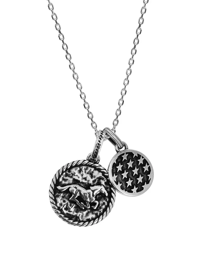 Two-Face Sterling Necklace 1