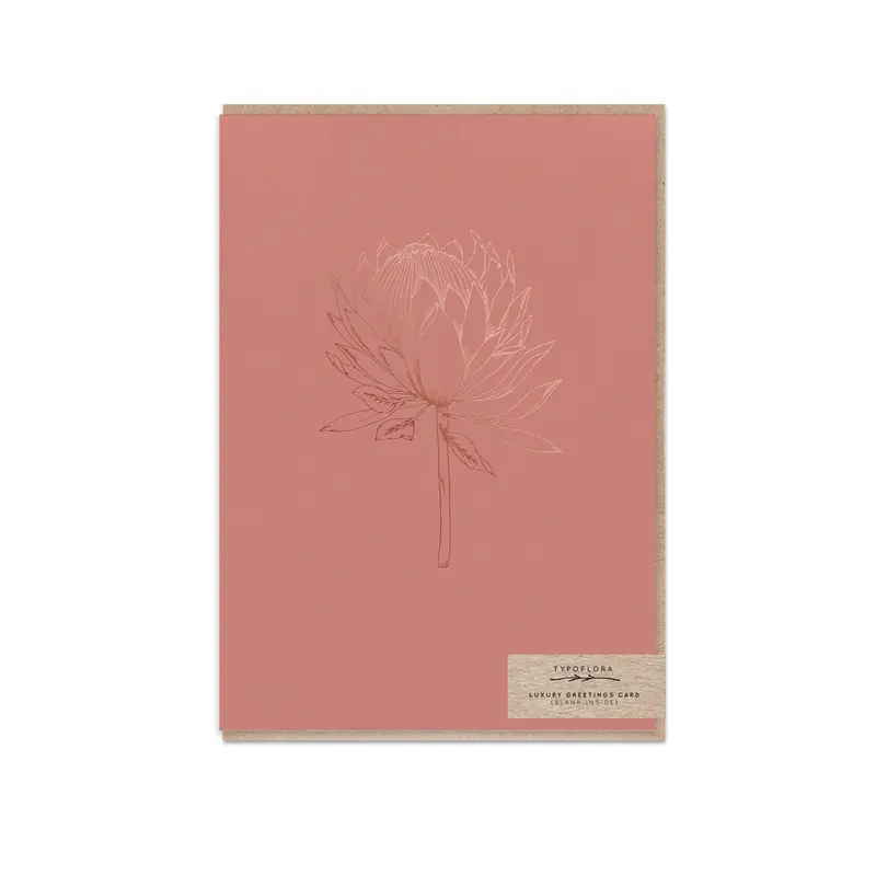 Typoflora - Card - Terracotta King Protea 1