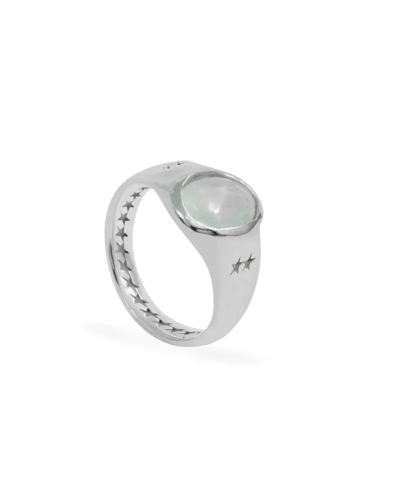 Vertical Moonstone Signet 1