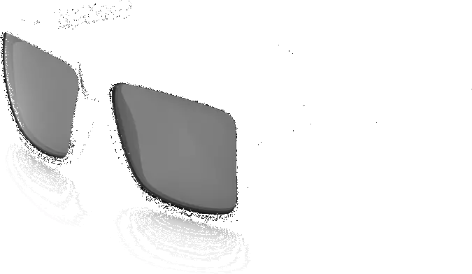 Vise Z87+-Blk/Photochromic Lens 1